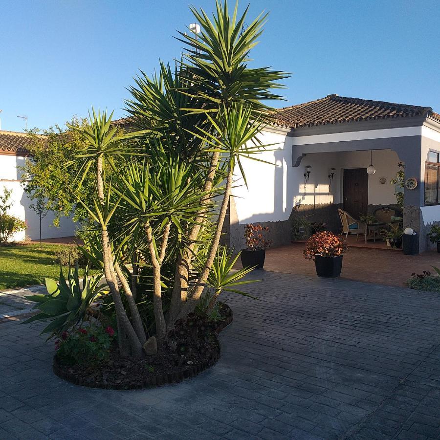 Rojas&Mar Chalet con piscina salina Chiclana de la Frontera Exterior foto